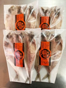 和歌山魚鶴の国産あじ干物８尾◇ ※着日指定送不可