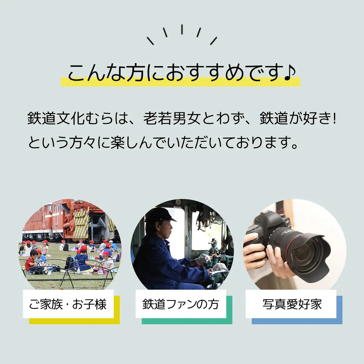 入園招待券3枚セット ANAE001