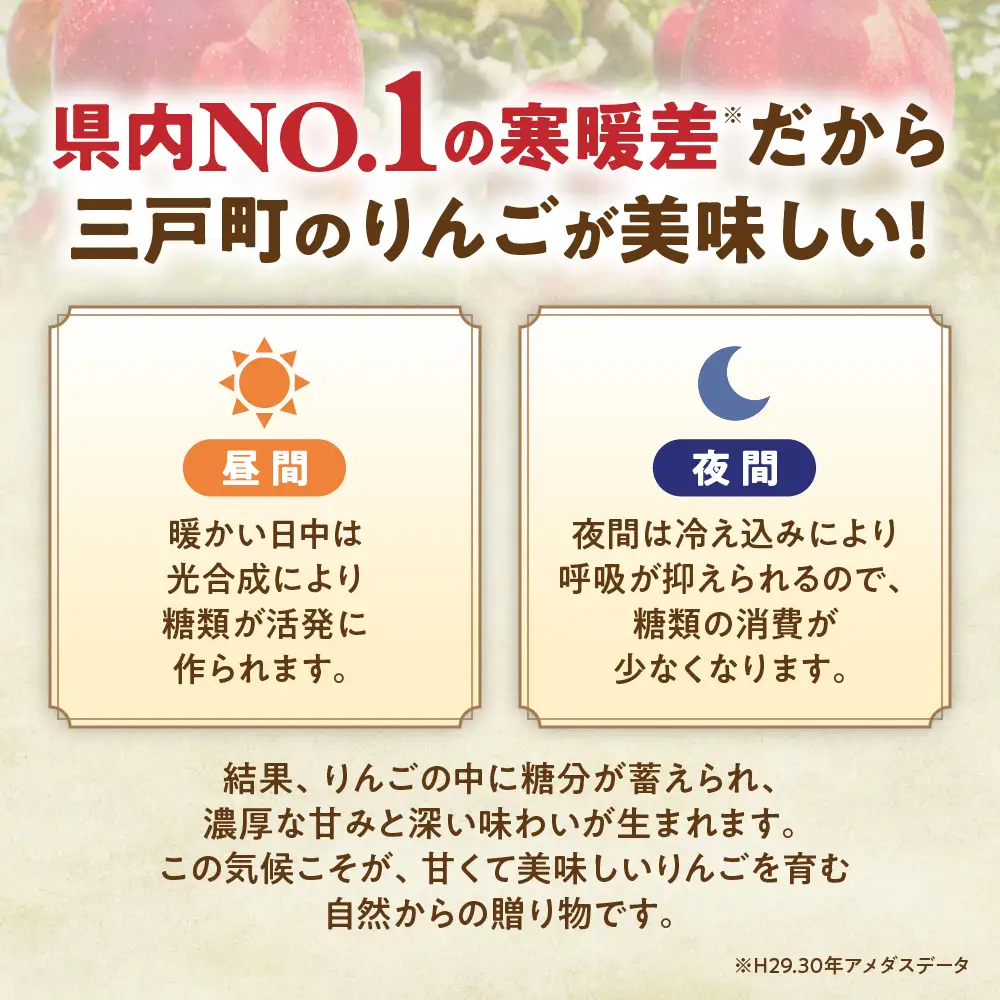 青森県産りんご あいかの香り 約5kg 11月中旬～ りんご