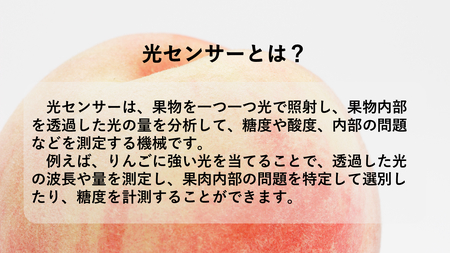 【2027年(令和9年)発送先行予約】来年発送！！光センサー桃「エクセレント」約2kg ALPAA013