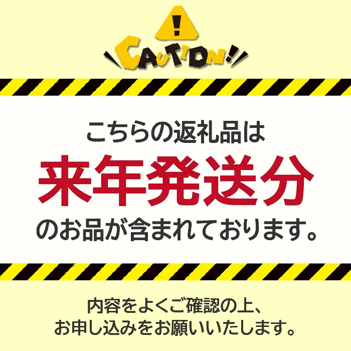 【2027年(令和9年)発送先行予約】来年発送！！すもも「サマーエンジェル」10～13玉入り×2箱約3ｋｇ ALPAA015