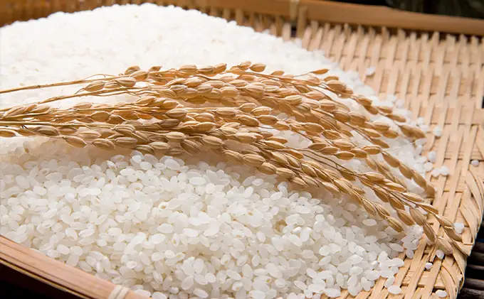 天水の恵米「コシヒカリ」白米5kg お米
