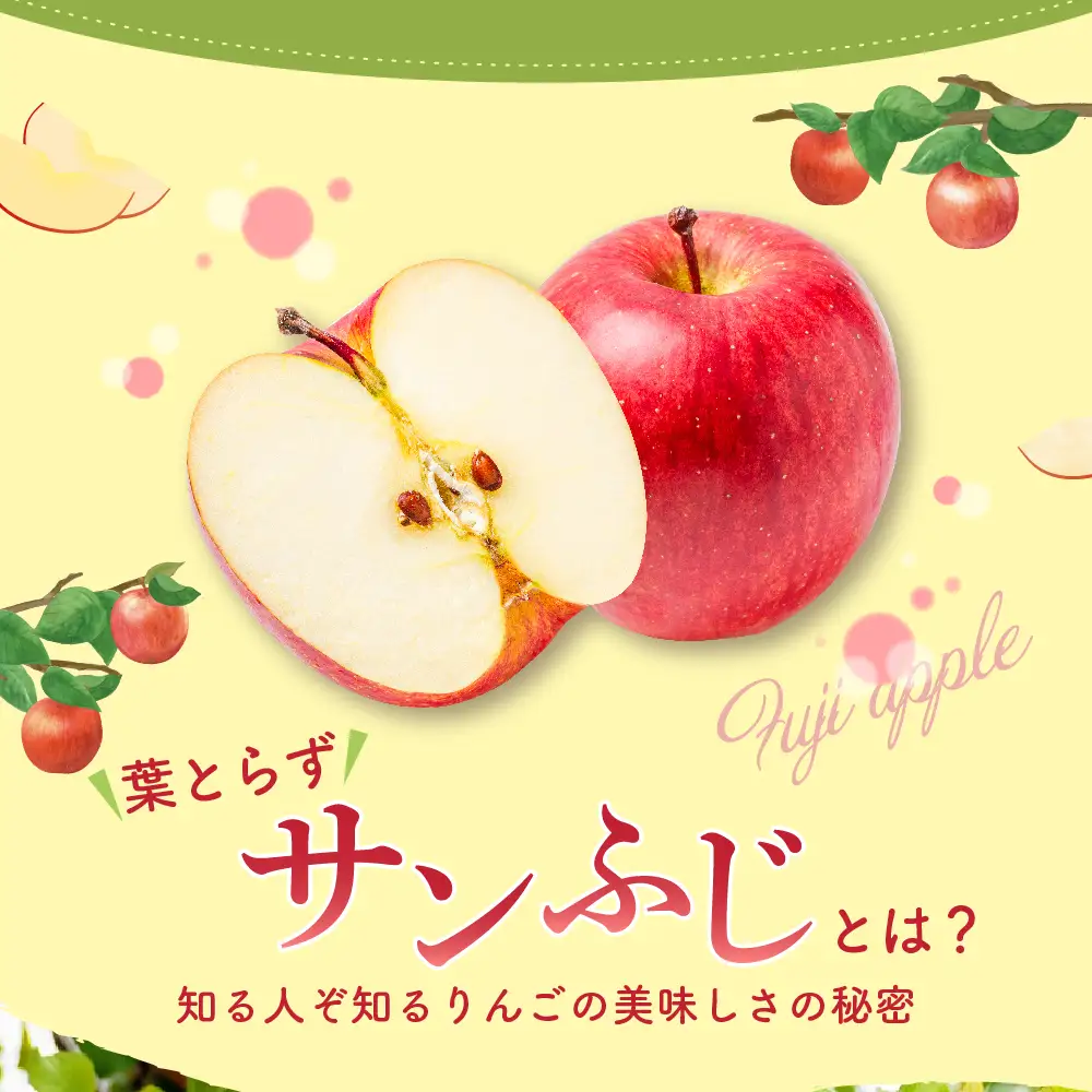 【2026年12月上旬発送】りんご 葉取らずサンふじ 10kg 程度 青森りんご