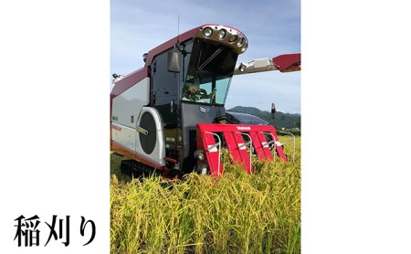 米 コシヒカリ 玄米 10kg