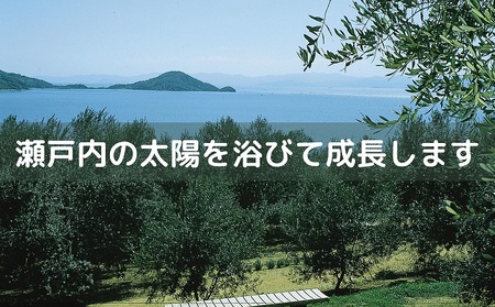 〈オーズファーム〉小豆島産 エキストラバージンオリーブオイル（100g×2） 食用油 