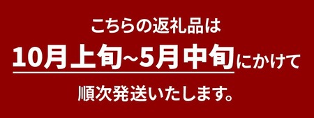 ブルーベリー苗２本　はじめてセット_ブルーベリー 苗木 2年生 苗 2本 セット 2種類 ランダム ブルーシャワー ティーフブルー ガーデンブルー ミノウブルー 専用土 IB化成肥料 植え方 育て方 説明書 付き 植物 お取り寄せ 福岡県 久留米市 送料無料 〔Hf012〕
