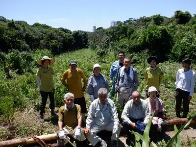 足摺ヤブ椿再生プロジェクト 応援一口 5,000円（1,500円分） ※返礼品なし※ 自然保護 椿 つばき ツバキ 藪椿 ヤブツバキ クラウドファンディング 募金 環境保護 SDGs 高知県【R01751】