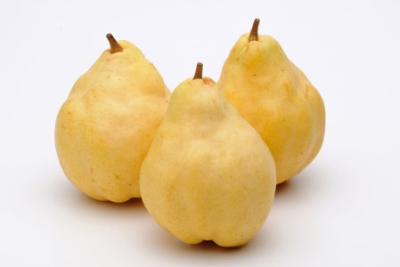 【2026年先行予約】新潟特産 幻の洋梨ル・レクチェ 家庭用 2kg (5〜6個入)《11月下旬〜お届け》