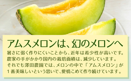 【先行予約】アムスメロン（1.3kg以上 2玉入) とろけるような果肉が絶品！／ あわら 期間限定 果物 フルーツ 産地直送 青肉 人気 ※2027年6月下旬より順次発送 [aw039-a018]