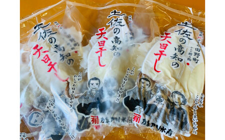 イカの一日干し５枚 スルメイカ 