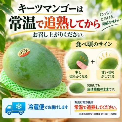 【2027年8月上旬から順次発送・贈答用】JAおきなわ厳選 幻のキーツマンゴー約1kg(1～2玉)【配送不可地域：離島】【1390923】
