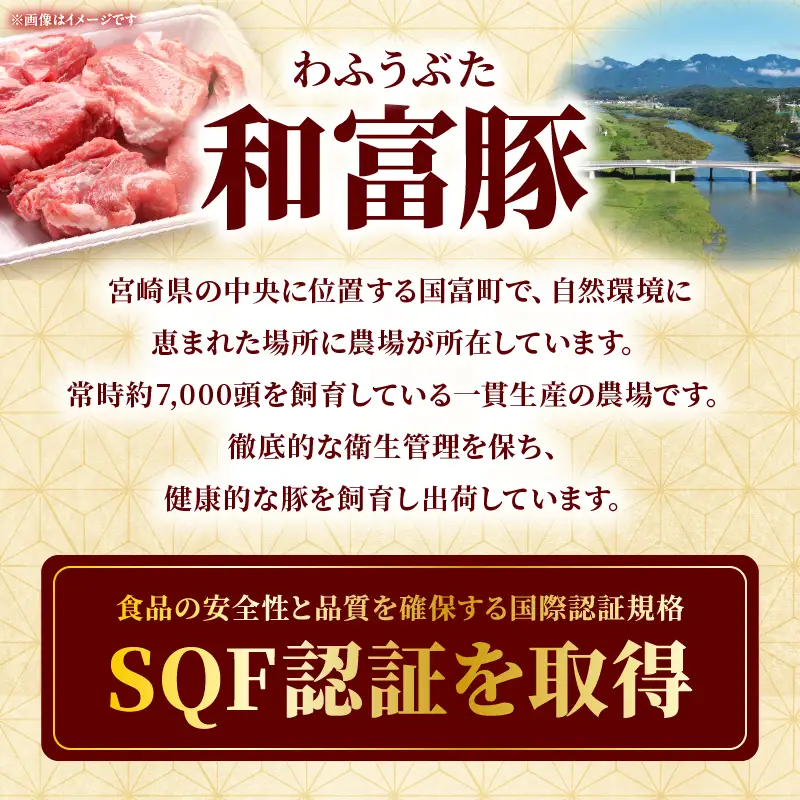 和富豚 ヒレ・スペアリブセット お肉 肉 豚肉 ヒレ スペアリブ ブランド豚 とんかつ バーベキュー 煮込み料理 普段使い 料理 ストック 冷凍
