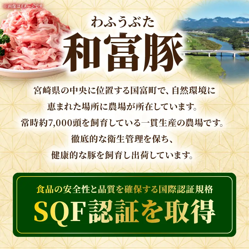 和富豚 普段使いセット 3.2kg お肉 肉 豚肉 ウデ モモ こま切れ ミンチ ブランド豚 スライス 切り落とし 普段使い 使い勝手 料理 ストック 冷凍