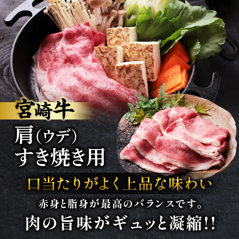 宮崎牛サーロインステーキ&肩(ウデ)すき焼き用セット合計500g 肉 牛 牛肉 焼肉 国産 _T009-0036
