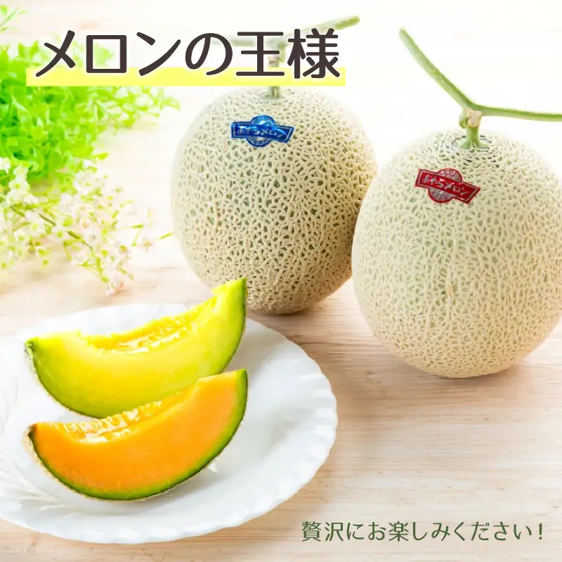 【先行予約】マスクメロン 青肉・赤肉 2色セット（1.5kg以上 2玉入）食べ比べお楽しみ！アールスメロン ／ あわら 期間限定 果物 フルーツ 産地直送 人気 甘い ※2027年7月上旬より順次発送 [aw039-a022]