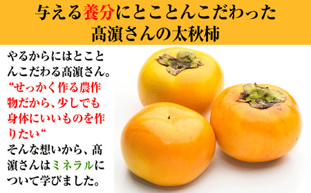 熊本県大津町産 タカハマ観光農園の太秋柿 約2.5kg《10月上旬-11月下旬頃出荷》