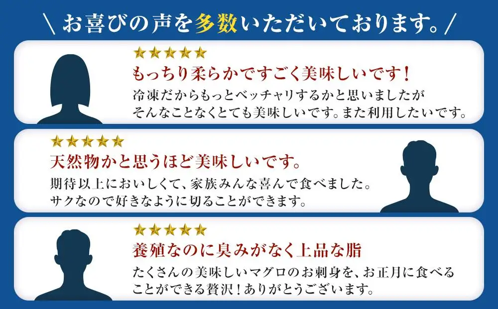 本マグロ（養殖）トロ＆赤身セット 500g［KS12］ まぐろ 年内発送受付中