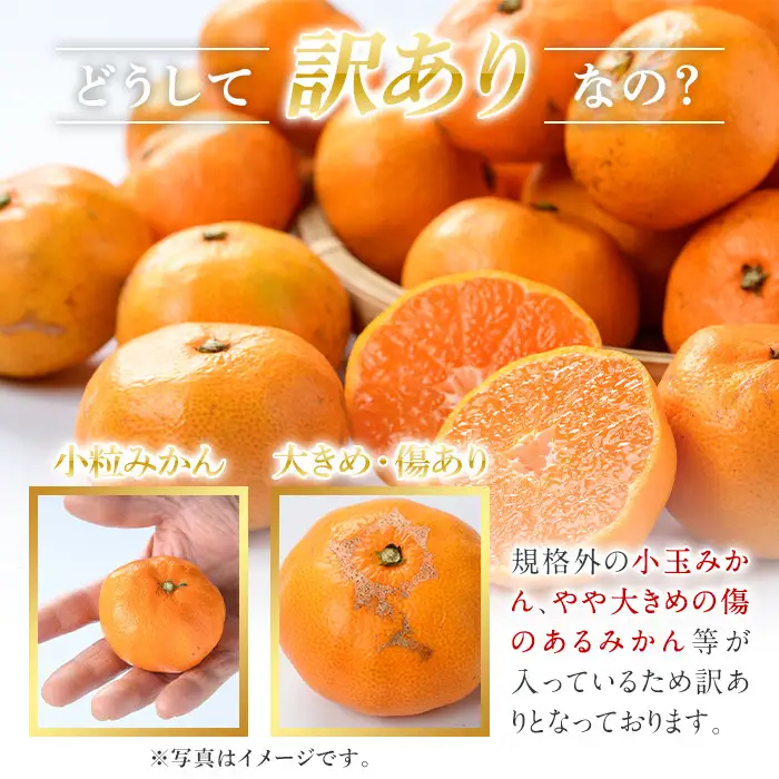 訳あり！鹿児島県産みかん(計約10kg) 大容量 傷あり 不揃い 国産 柑橘 果物 くだもの フルーツ 旬 期間限定 数量限定 訳アリ 規格外 ご家庭用 ご自宅用 ミカン ノーワックス【三笠農業生産】akn051-04