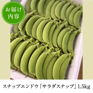 ＜先行予約受付中！2027年1月中旬以降順次発送予定＞ 数量限定！鹿児島県阿久根市産スナップエンドウ (1.5kg) サラダスナップ 国産 鹿児島県産 阿久根市産 えんどう 野菜 豆 エンドウ スナップえんどう 煮物 和え物 炒め物 豆類 【牧内健志】akn050-01