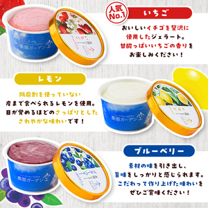 ＼テレビで紹介されました！／農園ガーデン空 楽園のジェラートセット(90ml×6個) ジェラート アイス いちご いちごミルク レモン ブルーベリー 抹茶 デザート スイーツ おやつ 夏 鹿児島 バラエティ バレンタイン ホワイトデー【農園ガーデン空】akn026-12