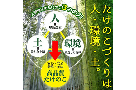＜先行予約受付中！2027年2月下旬以降順次発送予定＞ 【平日着】朝堀り青果たけのこ(約1.5kg) 国産 新鮮 タケノコ 青果 竹の子 筍 野菜 春 旬 期間限定 数量限定 【上野食品】akn008-04-A