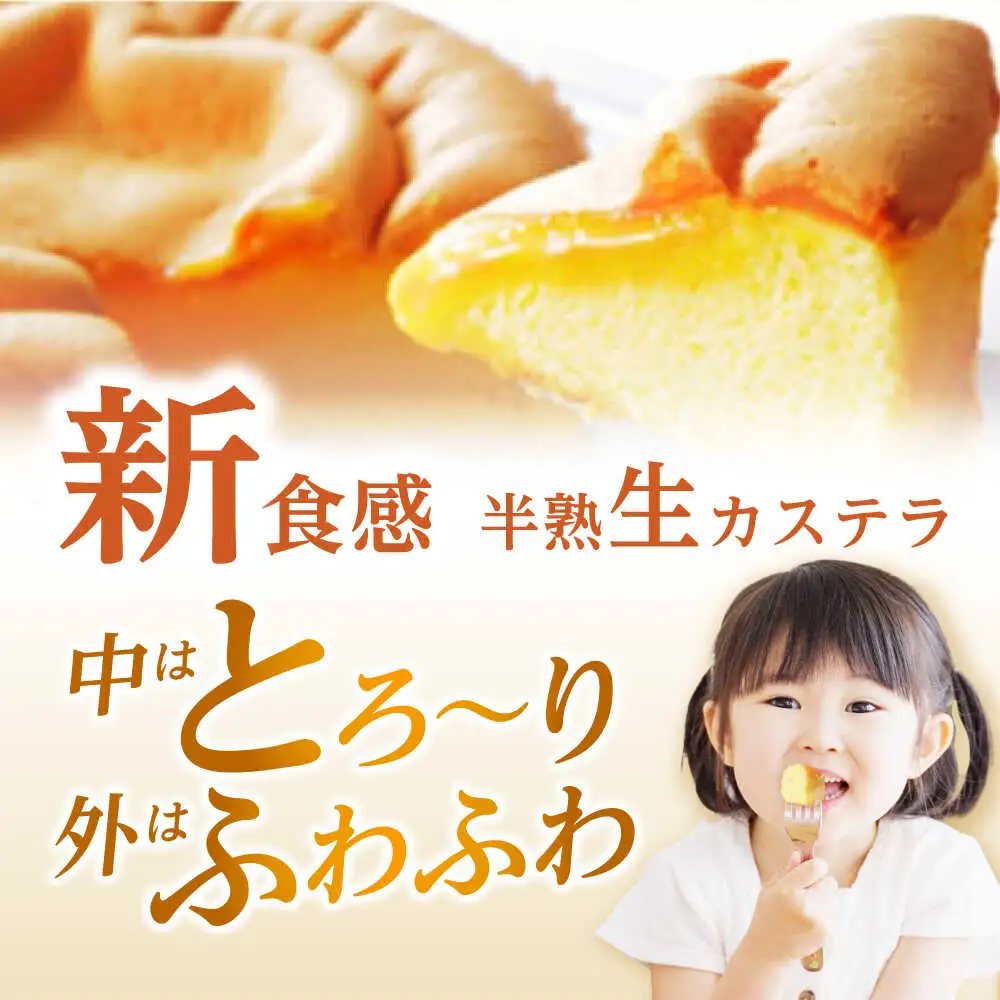 【話題のカステラ2種をご自宅で】半熟生カステラ・台湾カステラ お試しセット / カステラ かすてら 生カステラ 台湾カステラ / 諫早市 / 株式会社菓秀苑森長 [AHAG001]