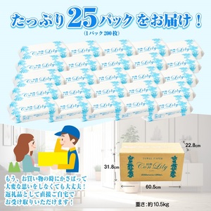 抗菌こんりりー25入りペーパータオル ソフトタイプ [sf002-263]