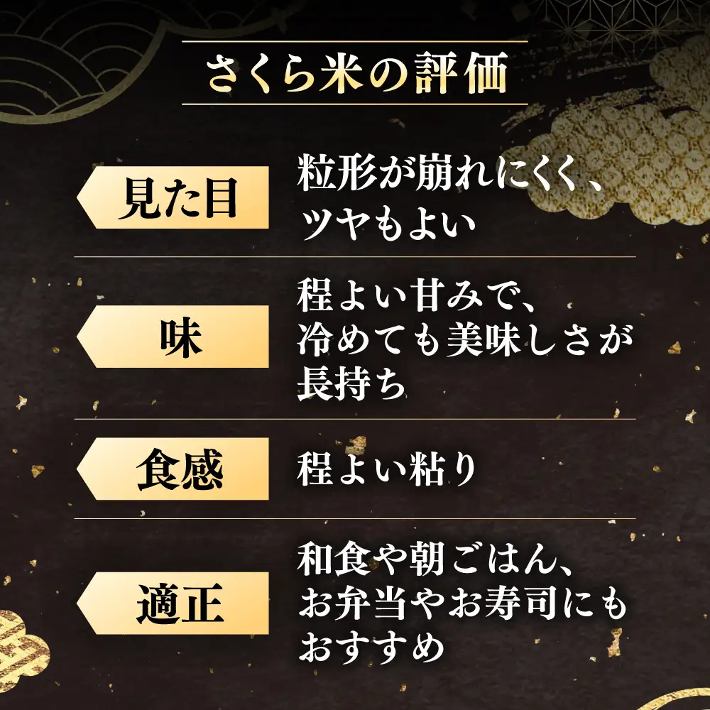 【令和7年産】 玄米 ななつぼし さくら米 10kg 玄米 [AXAB035]