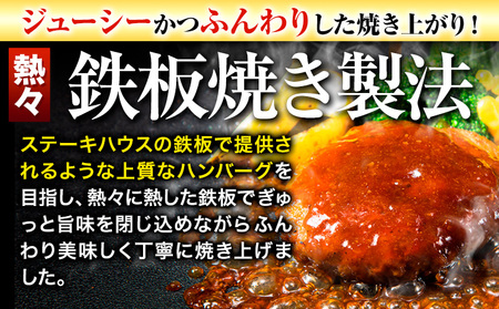 ハンバーグ 10個 国産のお肉使用！ 鶏肉不使用 温めるだけ 「通の贅沢ハンバーグ」濃厚デミグラスソース《7-14日以内に出荷予定(土日祝除く)》 牛 訳あり 小分け 早く届く