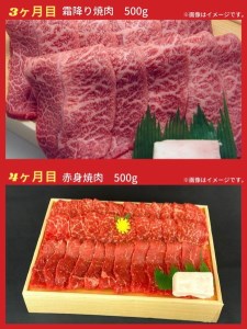 【6回定期便】亀岡牛 牛肉お楽しみセット 木曽精肉店 牛肉