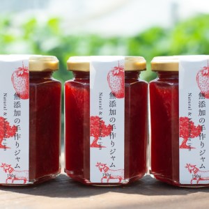 紅ほっぺ いちご 詰合せ デラックス (1トレー入り) ＆ 無添加 の 手作り いちごジャム (4本詰合せ) 【令和3年12月中旬より順次発送】