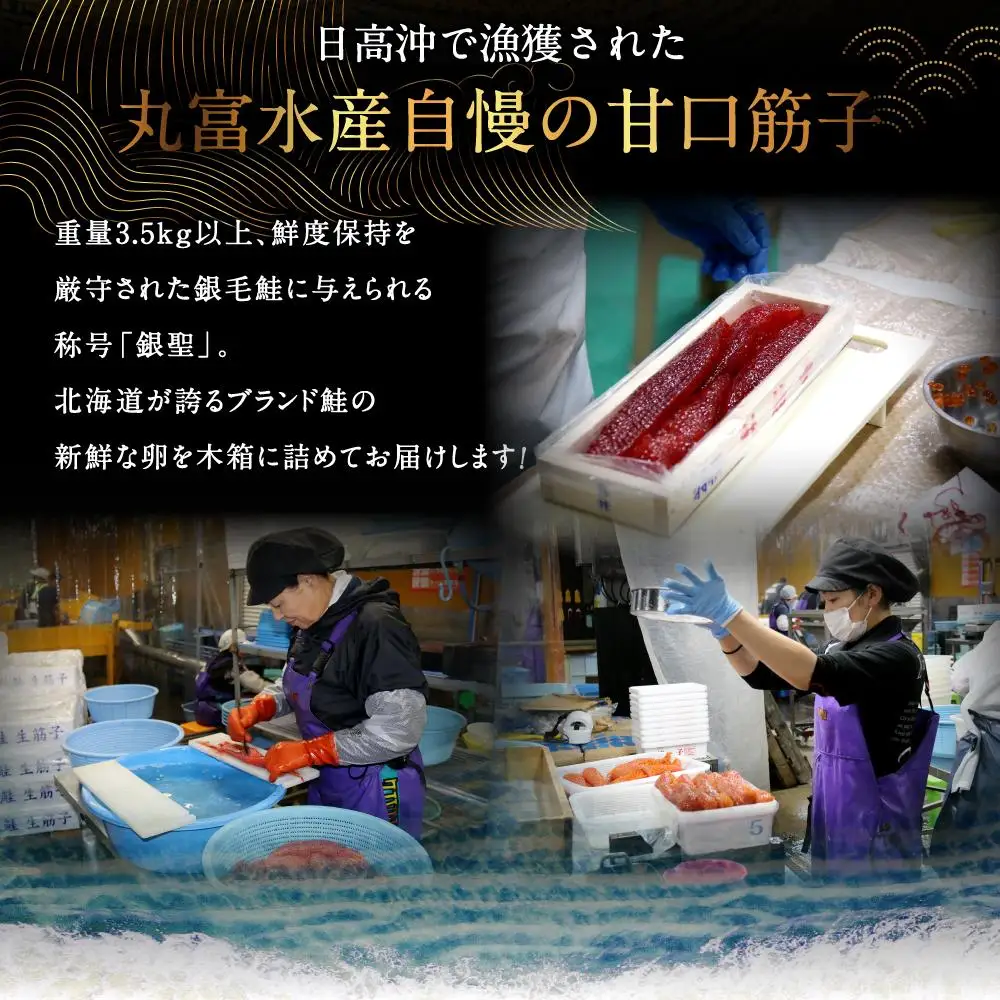 北海道産秋鮭「銀聖」筋子（500g）筋子