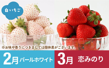【先行予約 2027年2月～発送】【6回定期便】いちごと牛肉の贅沢定期便 / いちご 牛肉  [IZZ009]