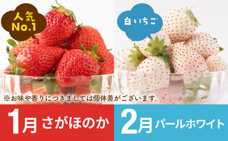【先行予約 2027年1月～発送】【7回定期便】いちごと牛肉の極上定期便 / いちご 牛肉 [IZZ014]