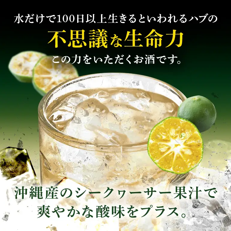 ハイボール 琉球ハブボール 350ml 12缶 セット チューハイ