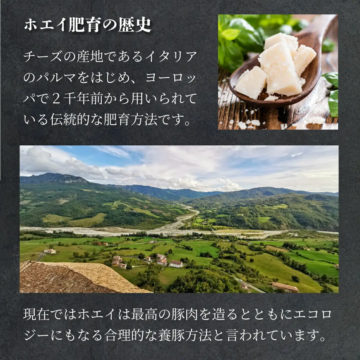 合計2.4kg！肉のあさひ大人気！【のぼりべつ乳清豚（ホエー）】ハンバーグ120g×10個[全2回お届け]