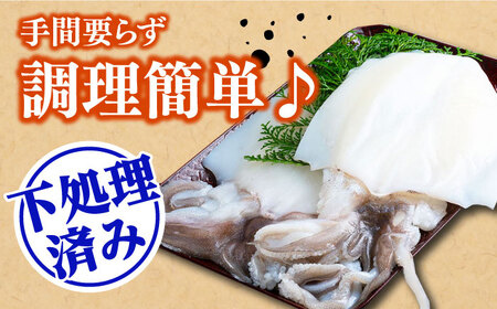 【 対馬産 】 水 イカ （ アオリイカ ） 生 冷凍 1kg [WAB006] 下処理 塩焼き あおりいか アオリイカ