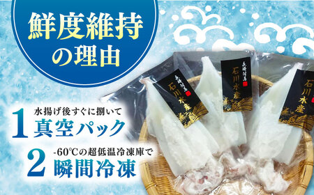 【対馬産】 剣先 イカ（ 生 冷凍 ）3枚刺身 塩辛 [WAB003] 刺身 剣先いか あかいか まるいか