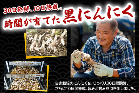 元気・活力・健康の源！ 黒にんにく山盛りセット [0329]