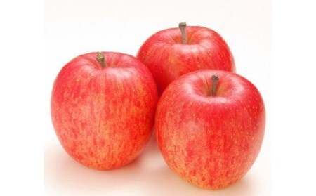 りんご サンふじ 約5kg (14玉から18玉) 青森産 つがる市【2026年11月下旬より順次発送】 [0991]