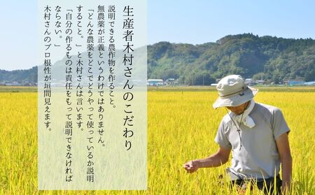 【令和7年産】 新米 宮城県産 超稀少品種 かぐや姫 精米 5kg 宮城県 東松島市 天授のお米 米 白米 こめ 宮城県 東松島市 オンラインワンストップ 対応 自治体マイページ