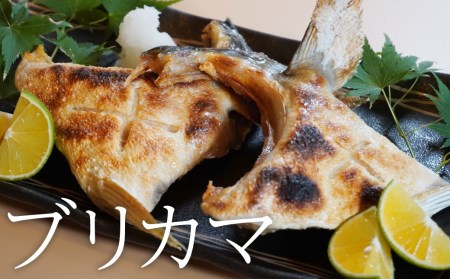 鮮度と味を閉じ込めた　ブリしゃぶセット（600g＋ブリカマ4食分付）