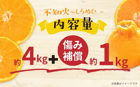 【2027年2月～3月頃発送予定】九州・福岡フルーツ王国八女｜ワケあり「不知火」（デコポンと同品種）約4kg（＋1kg傷み補償付き）＜配送不可：北海道・沖縄・離島＞ しらぬい 不知火 オレンジ みかん 福岡 訳あり 果物 072-167