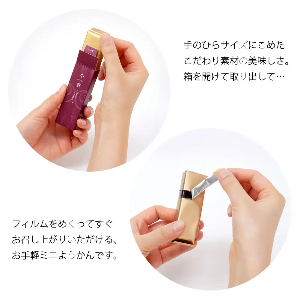 鶴屋吉信 ようかん 10本入 羊羹 和菓子 羊羹