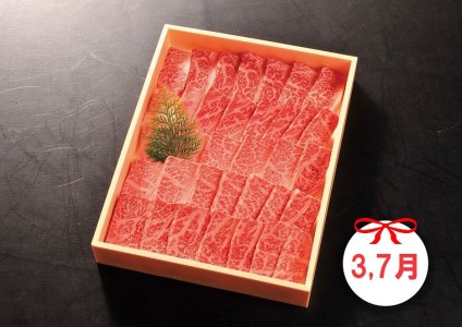 DP086_佐賀牛赤身定期便Ｃ♪　(1,3,5,7,9月お届け)　ヒレステーキ４００ｇ、すき焼きしゃぶしゃぶ５００ｇ、焼き肉５００ｇ