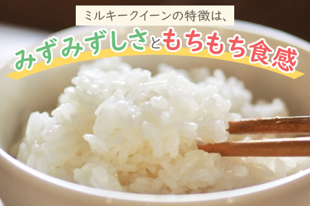【令和7年産 新米】【3ヶ月定期便】ミネラル豊富！弱アルカリ性のピロール米 ミルキークイーン 白米 13.5kg（4.5kg × 3回）化学肥料5割以下・減農薬 [C-008002]