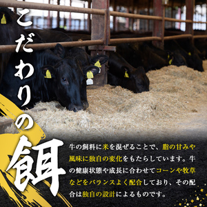 ローススライスセット 約700g 国産 黒毛和牛 【スライス】【ho0916】