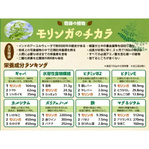 奇跡の植物＜モリンガ＞パウダー（2個セット） ☆ お茶 お手軽 持ち運び 沖縄 読谷村産