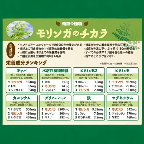 奇跡の植物＜モリンガ＞タブレット（5個セット） ☆ お手軽 持ち歩きに 読谷村産 飲みやすい 沖縄