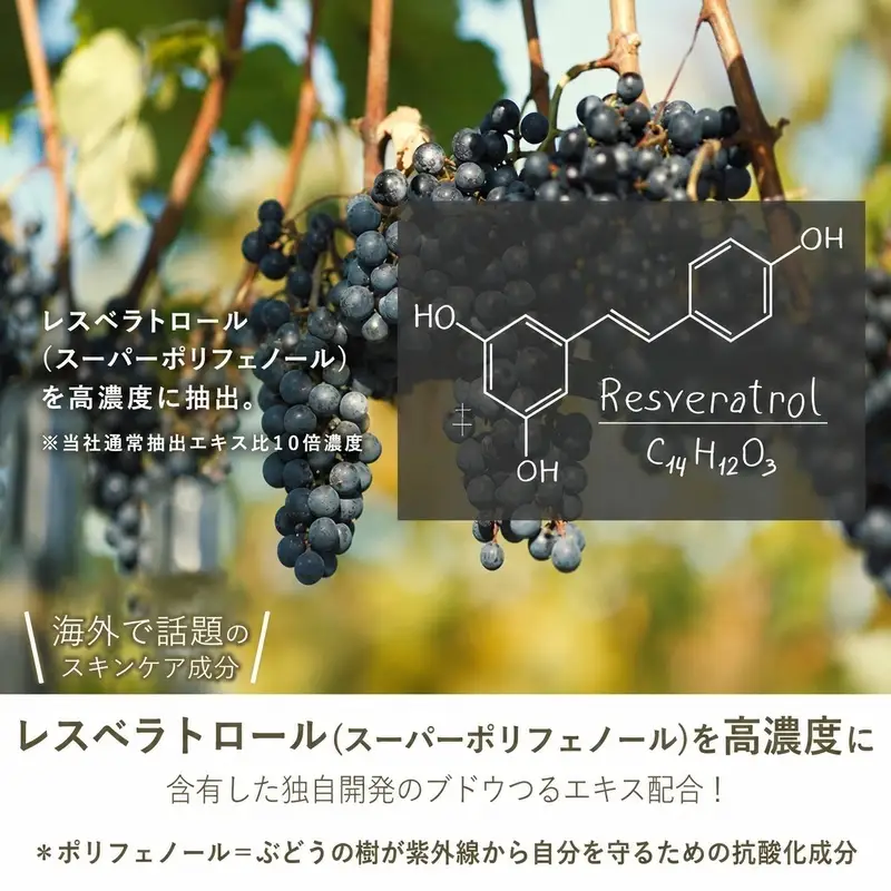 美容乳液 50ml オーガニック認証 エイジングケア 高濃度 レスベラトロール 天然由来100％ 無添加 敏感肌 目元 シワ 紫外線ケア 肌キメ シェアコスメ メンズ にも 約2か月分 